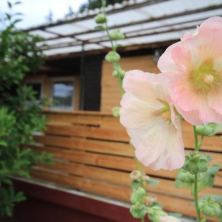 Ferienhaus Am Wald Tambach-Dietharz Exteriér fotografie